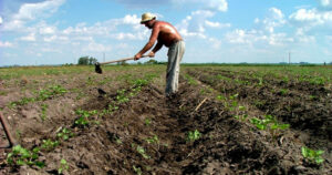 Agricultor