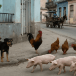 Recreación de una calle de La Habana